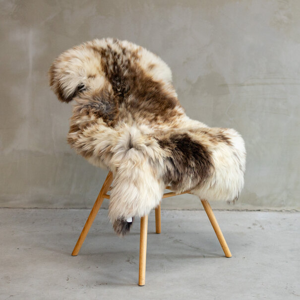 Van Buren sinds 1861 Uniek Gefotografeerd Texels Gemêleerd/Bont Schapenvacht ca. 122x73cm - SVV-592