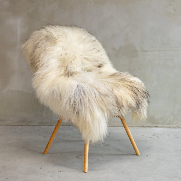 Van Buren sinds 1861 Uniek Gefotografeerd IJslands Gemêleerd Schapenvacht ca. 120x85cm - SVV-594