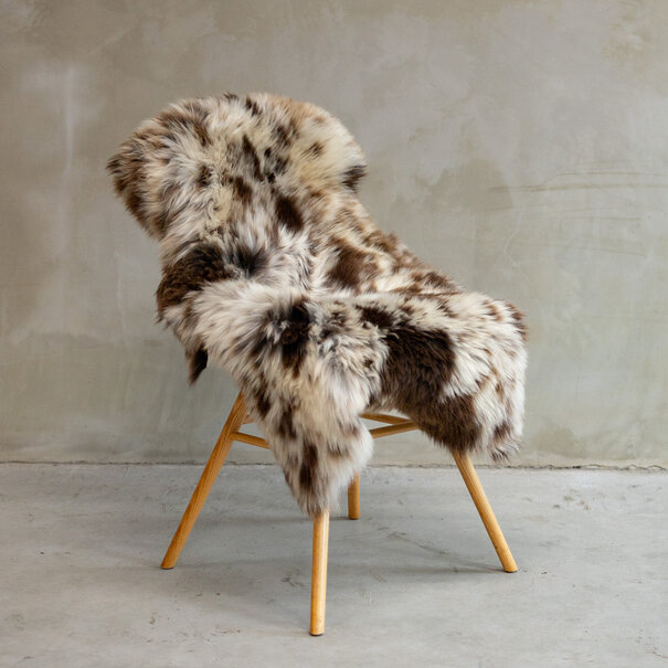 Van Buren sinds 1861 Uniek Gefotografeerd Texels Gemêleerd/Bont Schapenvacht ca. 116x68cm - SVV-593