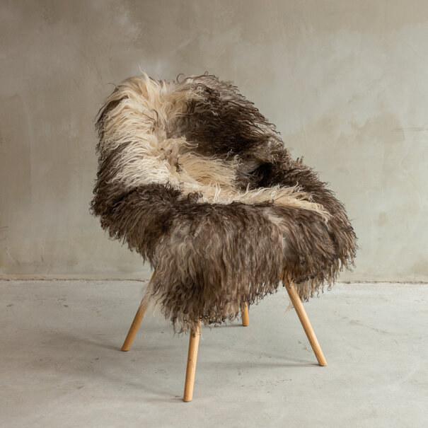 Van Buren sinds 1861 Uniek gefotografeerd Krul-/Bergschaap Gemêleerd Schapenvacht - ca. 120x67cm - SVV-643