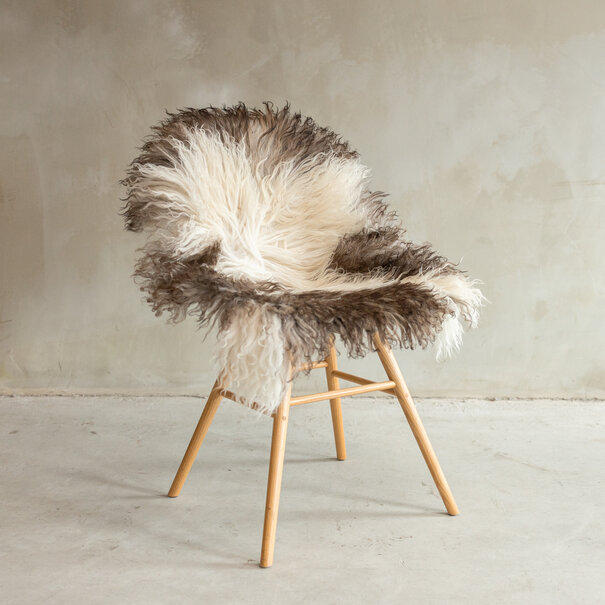 Van Buren sinds 1861 Uniek gefotografeerd Krul-/Bergschaap Gemêleerd Schapenvacht - ca. 100x55cm - SVV-661