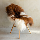 Uniek Gefotografeerd IJslands Schapenvacht Bruin Bont - 126x74 - SVV-688