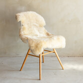 Uniek Gefotografeerd Duitse Zwartkop Schapenvacht - 112x53 - SVV-697