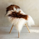 Uniek Gefotografeerd IJslands Schapenvacht Bruin Bont - 119x78 - SVV-691