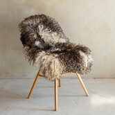 Uniek Gefotografeerd Krul/Bergschaap Schapenvacht - 115x66 - SVV-723