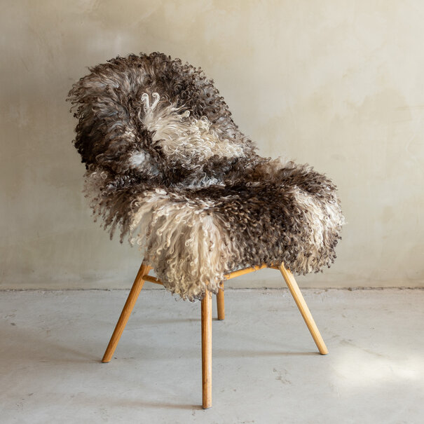 Van Buren sinds 1861 Uniek Gefotografeerd Krul/Bergschaap Schapenvacht - 115x66 - SVV-723