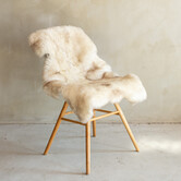 Uniek Gefotografeerd Duitse Zwartkop Schapenvacht - 110x63 - SVV-696