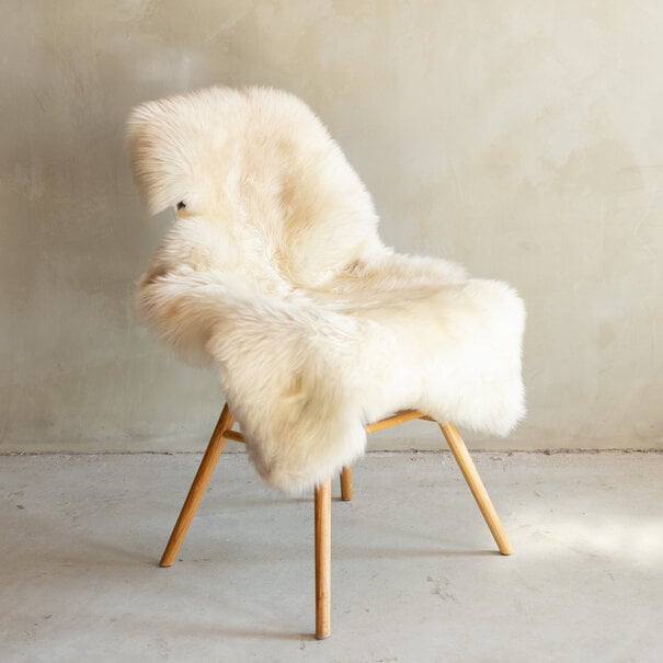 Van Buren sinds 1861 Uniek Gefotografeerd Duitse Zwartkop Schapenvacht - 103x63 - SVV-701