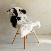 Uniek Gefotografeerd Geschoren IJslands Schapenvacht Bont - 115x55 - SVV-700