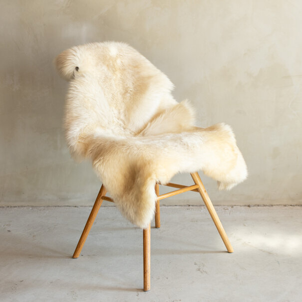 Van Buren sinds 1861 Uniek Gefotografeerd Duitse Zwartkop Schapenvacht - 126x70 - SVV-695