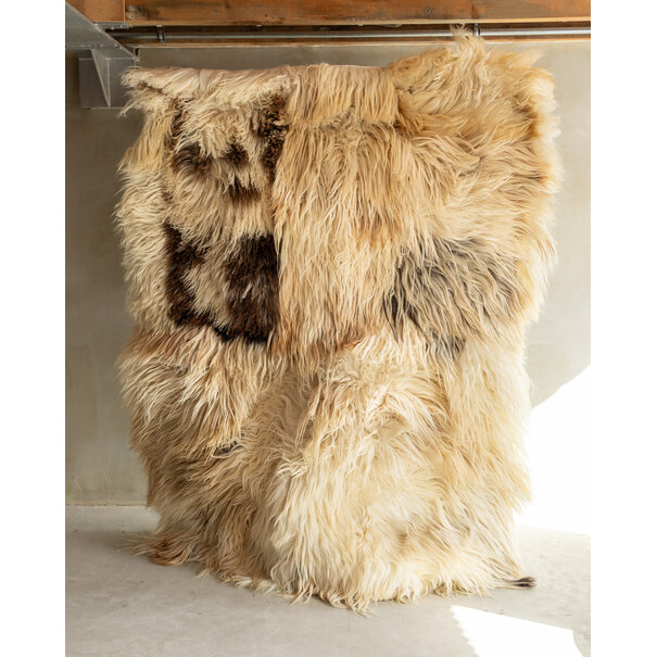 Van Buren sinds 1861 Uniek Gefotografeerd Schapenvacht Vloerkleed (Karpet) - Krul/Bergschaap - 200x150 cm - SKK-200