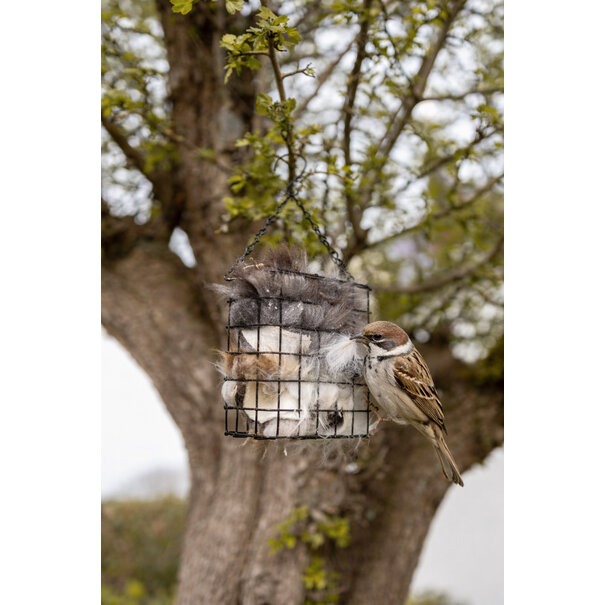 Van Buren sinds 1861 Nestmateriaal houder voor vogels