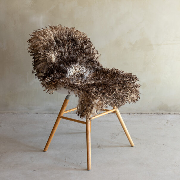 Van Buren sinds 1861 Uniek gefotografeerd Krul/Berg schapenvacht - ca. 100x63cm - SVV-866