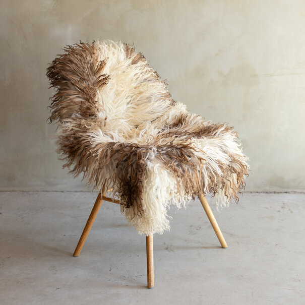 Van Buren sinds 1861 Uniek gefotografeerd Krul/Berg schapenvacht - ca. 113x70cm - SVV-864