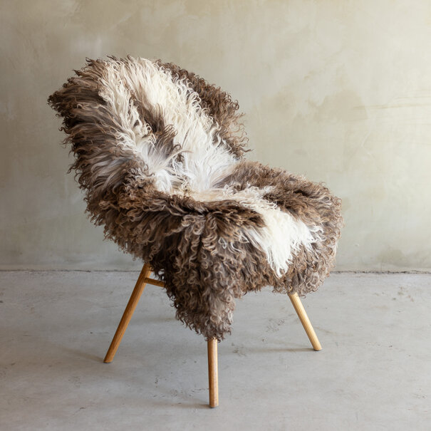 Van Buren sinds 1861 Uniek gefotografeerd Krul/Berg schapenvacht - ca. 110x66cm - SVV-861