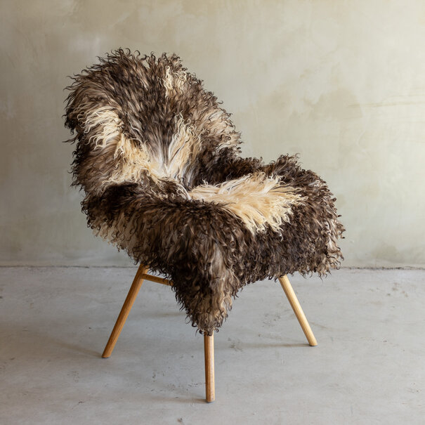 Van Buren sinds 1861 Uniek gefotografeerd Krul/Berg schapenvacht - ca. 113x70cm - SVV-849