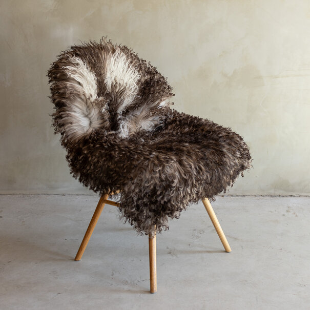 Van Buren sinds 1861 Uniek gefotografeerd Krul/Berg schapenvacht - ca. 113x73cm - SVV-869