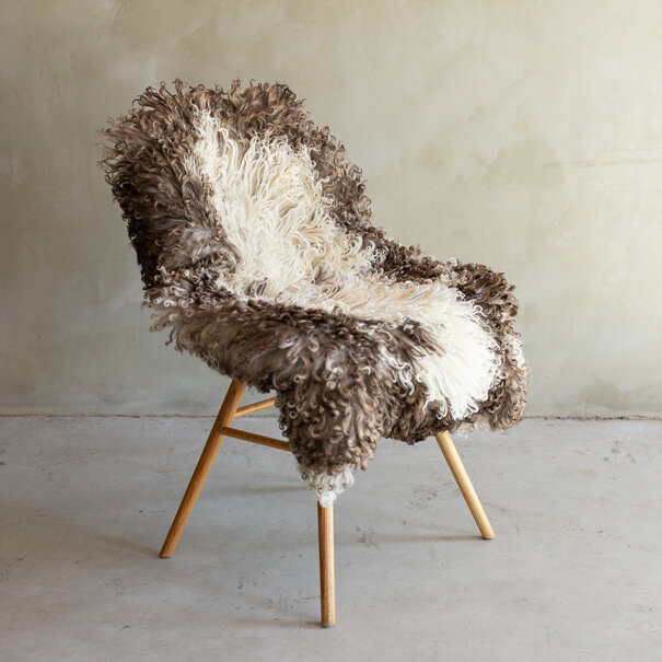 Van Buren sinds 1861 Uniek gefotografeerd Krul/Berg schapenvacht - ca. 112x70cm - SVV-853