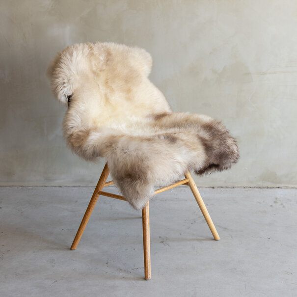 Van Buren sinds 1861 Uniek gefotografeerd Texels gemêleerd schapenvacht - ca. 112x65cm - SVV-757