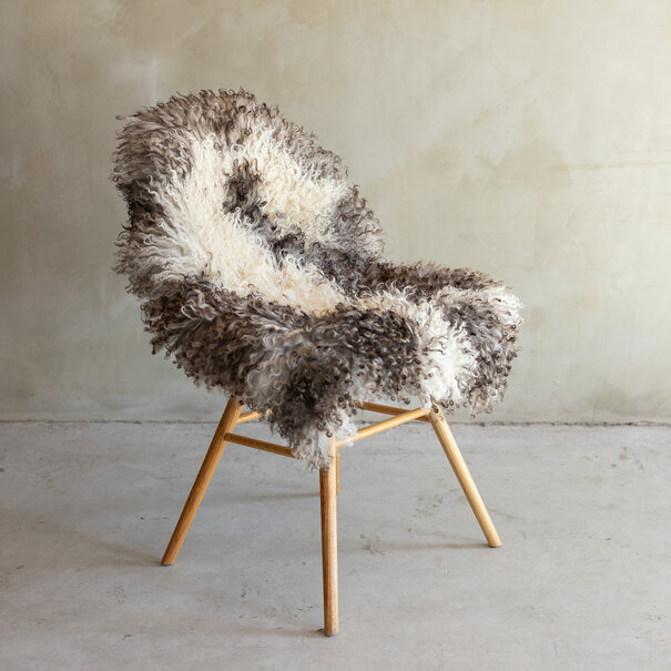 Van Buren sinds 1861 Uniek gefotografeerd Krul/Berg schapenvacht - ca. 100x65cm - SVV-843