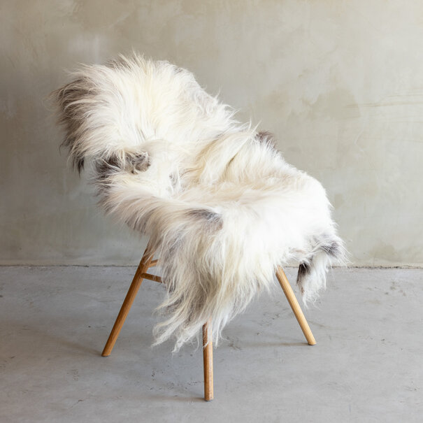 Van Buren sinds 1861 Uniek gefotografeerd Heide schapenvacht XXL - ca. 125x75cm - SVV-815