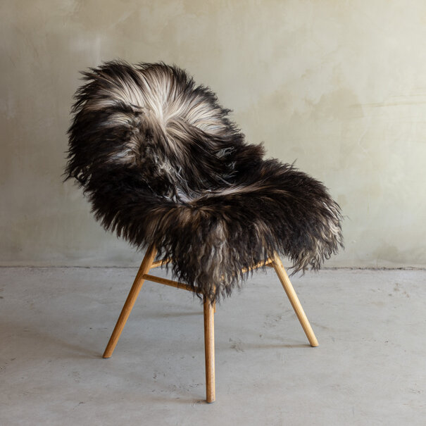 Van Buren sinds 1861 Uniek gefotografeerd Krul/Berg schapenvacht - ca. 104x65cm - SVV-839