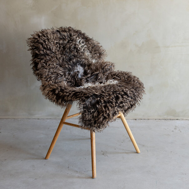 Van Buren sinds 1861 Uniek gefotografeerd Krul/Bergschaap schapenvacht - ca. 112x71cm - SVV-753