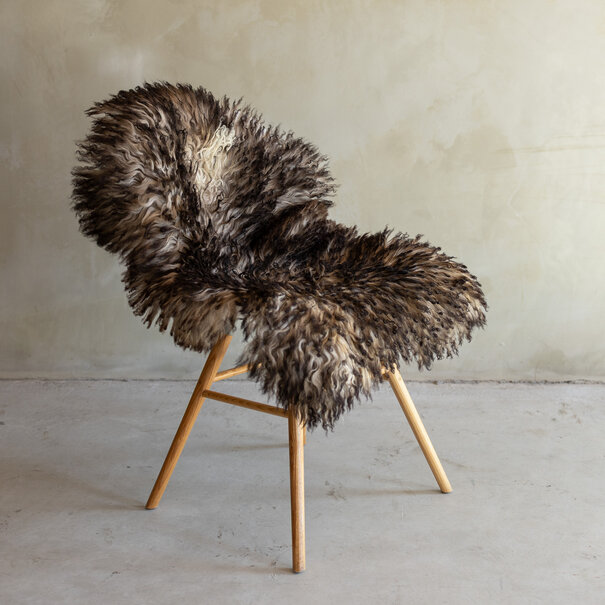 Van Buren sinds 1861 Uniek gefotografeerd Krul/Berg schapenvacht - ca. 100x64cm - SVV-840