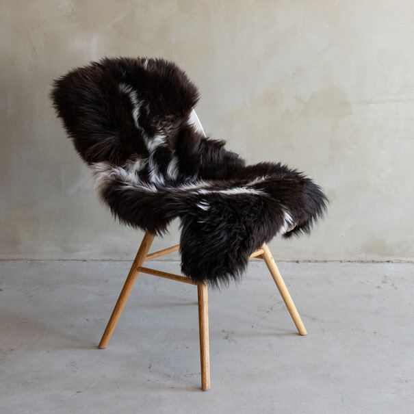 Van Buren sinds 1861 Uniek gefotografeerd Texels gemêleerd schapenvacht - ca. 114x66cm - SVV-764