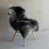 Uniek gefotografeerd Texels gemêleerd schapenvacht - ca. 121x80cm - SVV-738