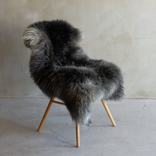 Van Buren sinds 1861 Uniek gefotografeerd Texels gemêleerd schapenvacht - ca. 121x80cm - SVV-738