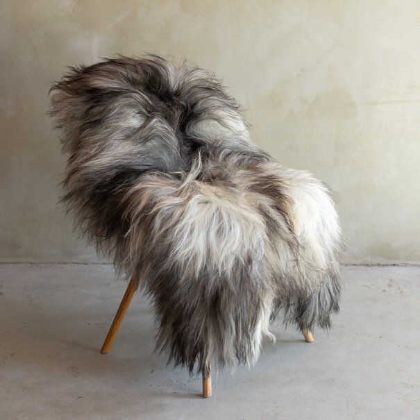 Van Buren sinds 1861 Uniek gefotografeerd IJslands natuurlijk grijs schapenvacht - ca. 136x83cm - SVV-828