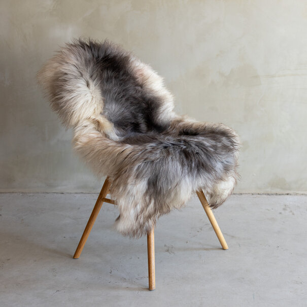 Van Buren sinds 1861 Uniek gefotografeerd Heide schapenvacht XXL - ca. 128x72cm - SVV-783