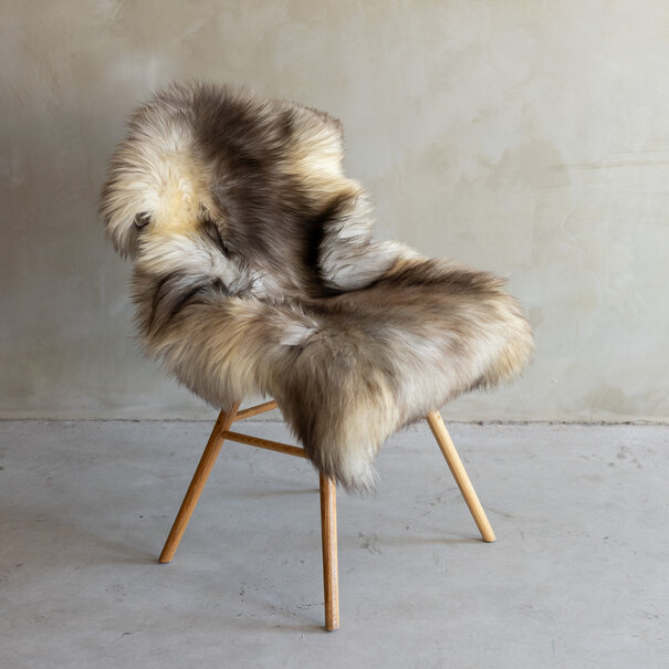 Van Buren sinds 1861 Uniek gefotografeerd IJslands natuurlijk grijs schapenvacht - ca. 119x74cm - SVV-763