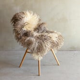 Uniek gefotografeerd Krul/Berg schapenvacht - ca. 120x74cm - SVV-846