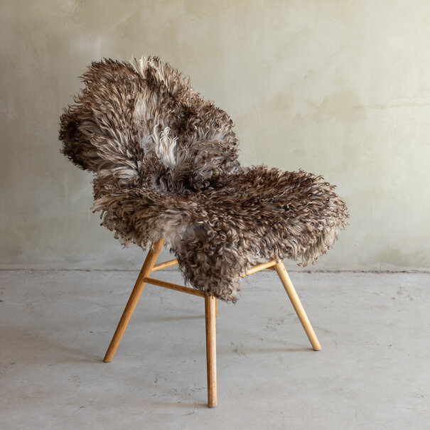 Van Buren sinds 1861 Uniek gefotografeerd Krul/Berg schapenvacht - ca. 97x64cm - SVV-835