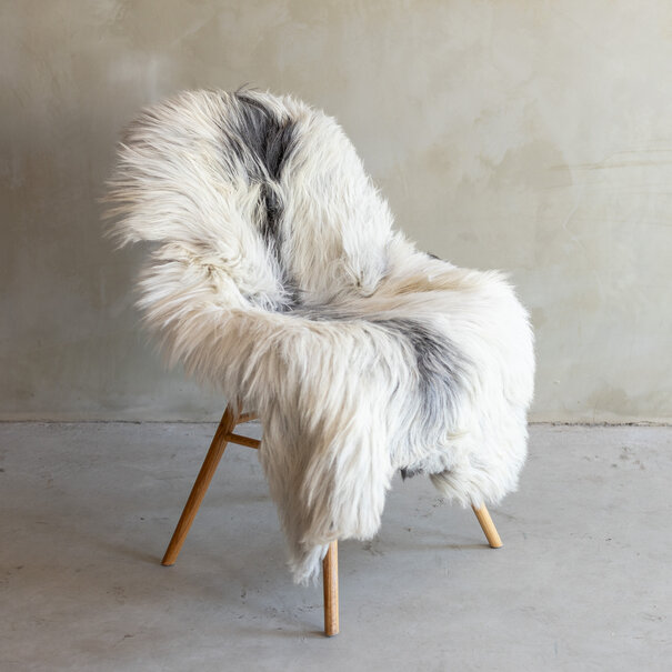 Van Buren sinds 1861 Uniek gefotografeerd Heide schapenvacht XXL - ca. 120x80cm - SVV-803