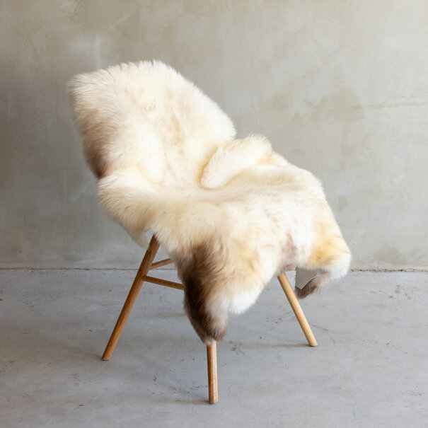 Van Buren sinds 1861 Uniek gefotografeerd Texels gemêleerd schapenvacht - ca. 126x80cm - SVV-756