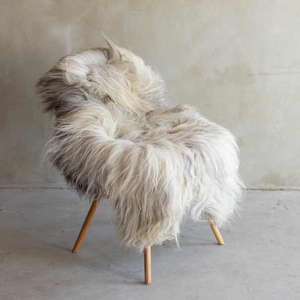 Van Buren sinds 1861 Uniek gefotografeerd Heide schapenvacht XXL - ca. 130x80cm - SVV-805