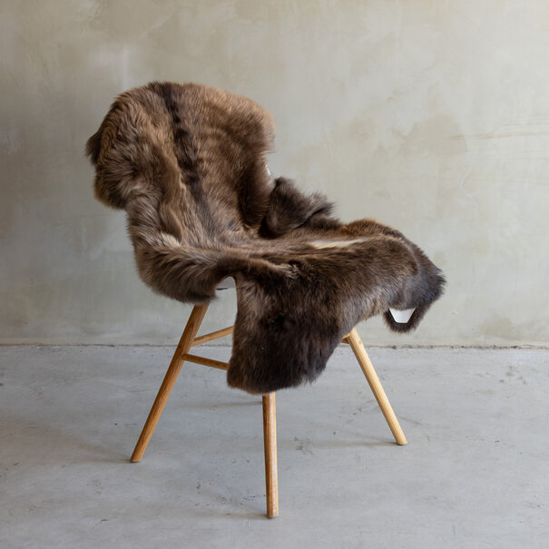 Van Buren sinds 1861 Uniek gefotografeerd Texels gemêleerd schapenvacht - ca. 120x65cm - SVV-767