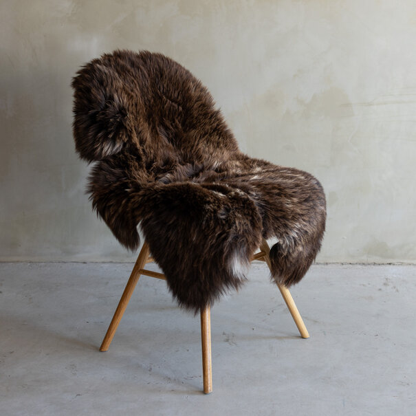 Van Buren sinds 1861 Uniek gefotografeerd Texels gemêleerd schapenvacht - ca. 104x70cm - SVV-730