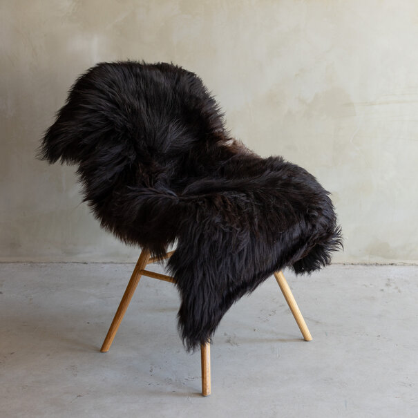 Van Buren sinds 1861 Uniek gefotografeerd Heide schapenvacht XXL - ca. 120x70cm - SVV-806