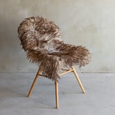 Uniek gefotografeerd Krul/Bergschaap schapenvacht - ca. 120x65cm - SVV-754