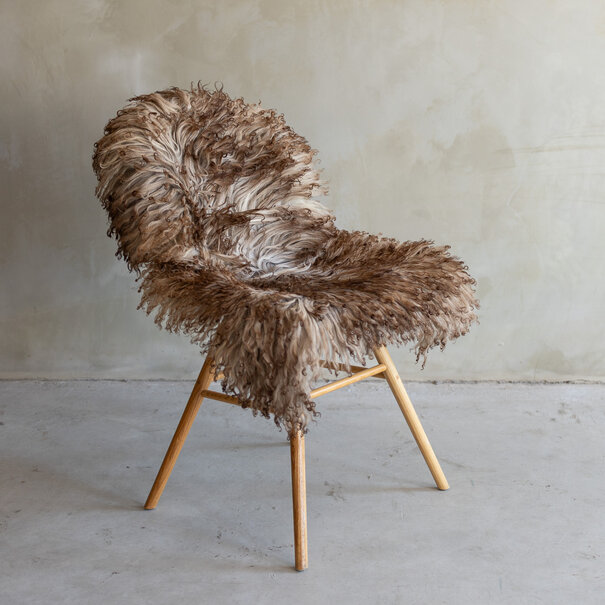 Van Buren sinds 1861 Uniek gefotografeerd Krul/Bergschaap schapenvacht - ca. 120x65cm - SVV-754