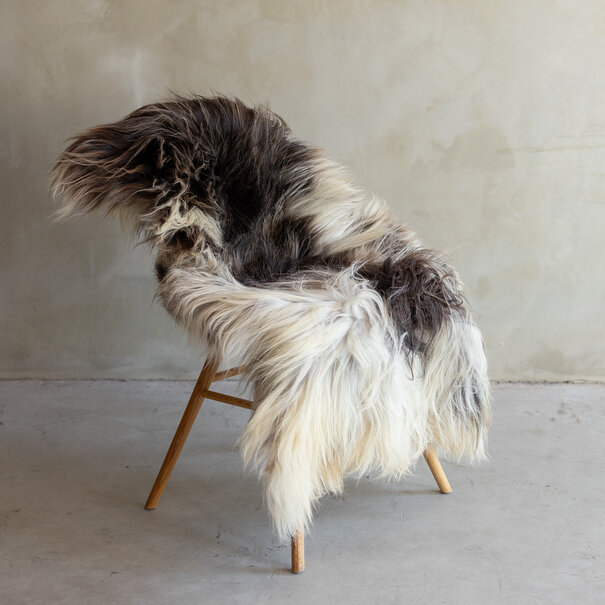 Van Buren sinds 1861 Uniek gefotografeerd Heide schapenvacht XXL - ca. 134x73cm - SVV-813