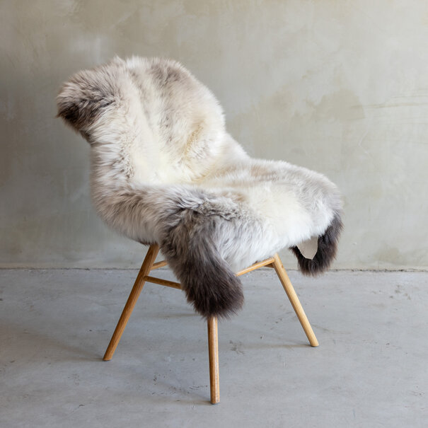 Van Buren sinds 1861 Uniek gefotografeerd Texels gemêleerd schapenvacht - ca. 119x79cm - SVV-739