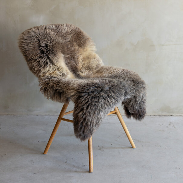 Van Buren sinds 1861 Uniek gefotografeerd Texels gemêleerd schapenvacht - ca. 118x71cm - SVV-743