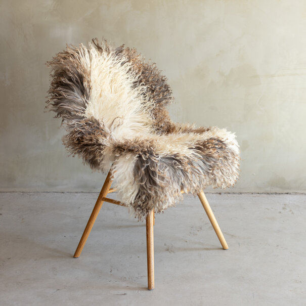 Van Buren sinds 1861 Uniek gefotografeerd Krul/Berg schapenvacht - ca. 108x57cm - SVV-836