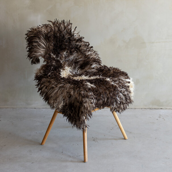 Van Buren sinds 1861 Uniek gefotografeerd Krul/Bergschaap schapenvacht - ca. 119x72cm - SVV-752