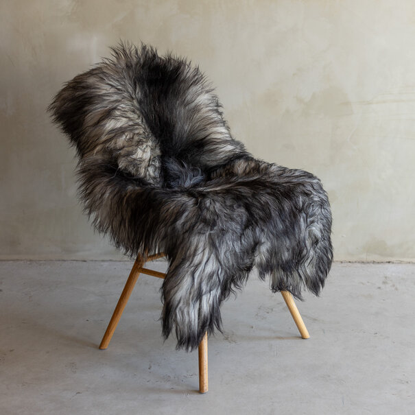 Van Buren sinds 1861 Uniek gefotografeerd Heide schapenvacht XXL - ca. 119x70cm - SVV-824